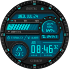 Digital Striker иконка