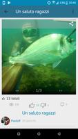 Pesca Sub syot layar 3