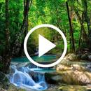 Waterfall Video Wallapper RDT APK