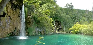 Waterfalls HD. Video Wallpaper