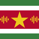 Fast - Learn Sranan Language APK