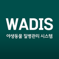 WADIS