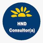 HND - Consultor icône