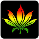 Rastafari Wallpapers APK