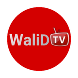 Walid TV 0.1