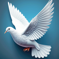 Pigeon Wallpaper