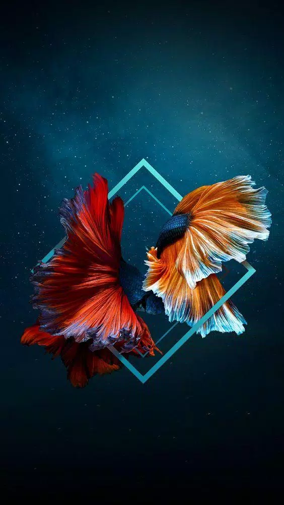 Tải xuống APK 4k wallpapers of oppo f9 pro - HD Backgrounds cho Android Tải xuống APK 4k wallpapers of oppo f9 pro - HD Backgrounds cho Android