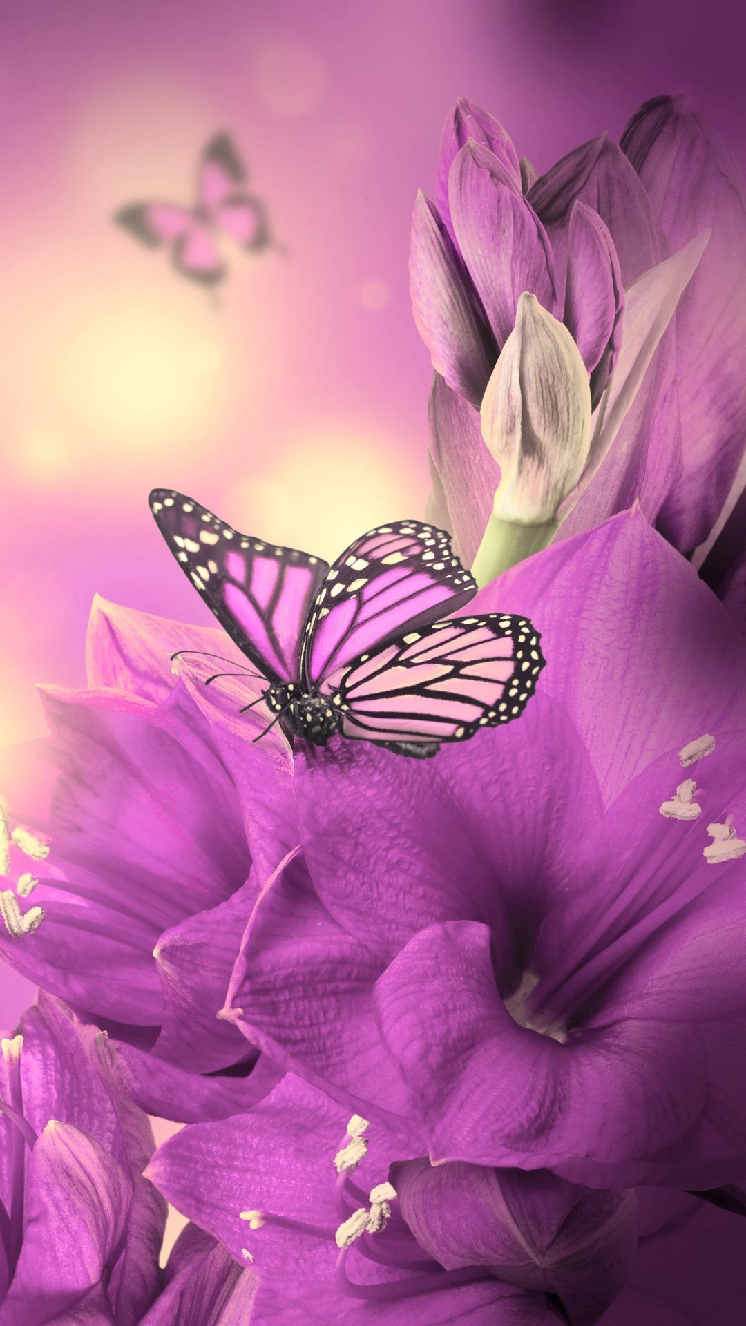 Wallpapers Mobile Girls APK untuk Unduhan Android Wallpapers Mobile Girls APK untuk Unduhan Android