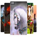 Horse Wallpaper HD 4K Horse backgrounds 2019 APK