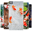 Koi Fish Wallpapers HD 4K, Koi Fish Wallpapers HD APK