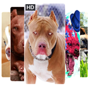 Pitbull Dog Wallpapers HD 2019 APK
