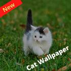 Cat Wallpapers ícone