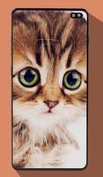Sevimli Kediler Duvar Kağıdı Ekran Görüntüsü 1