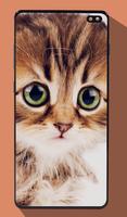 Wallpaper Kucing Lucu syot layar 1