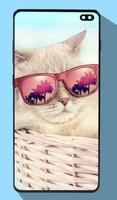 かわいい猫の壁紙 スクリーンショット 3