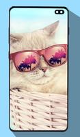 Wallpaper Kucing Lucu syot layar 3