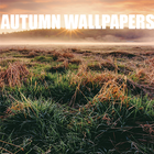 Autumn wallpapers आइकन