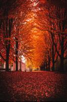 Autumn wallpapers Affiche