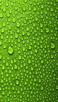 Green wallpaper ( Green Background HD ) 截图 2