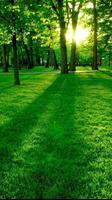 Green wallpaper ( Green Background HD ) 截图 3