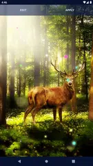 Sound Touch Magic Particle XAPK download