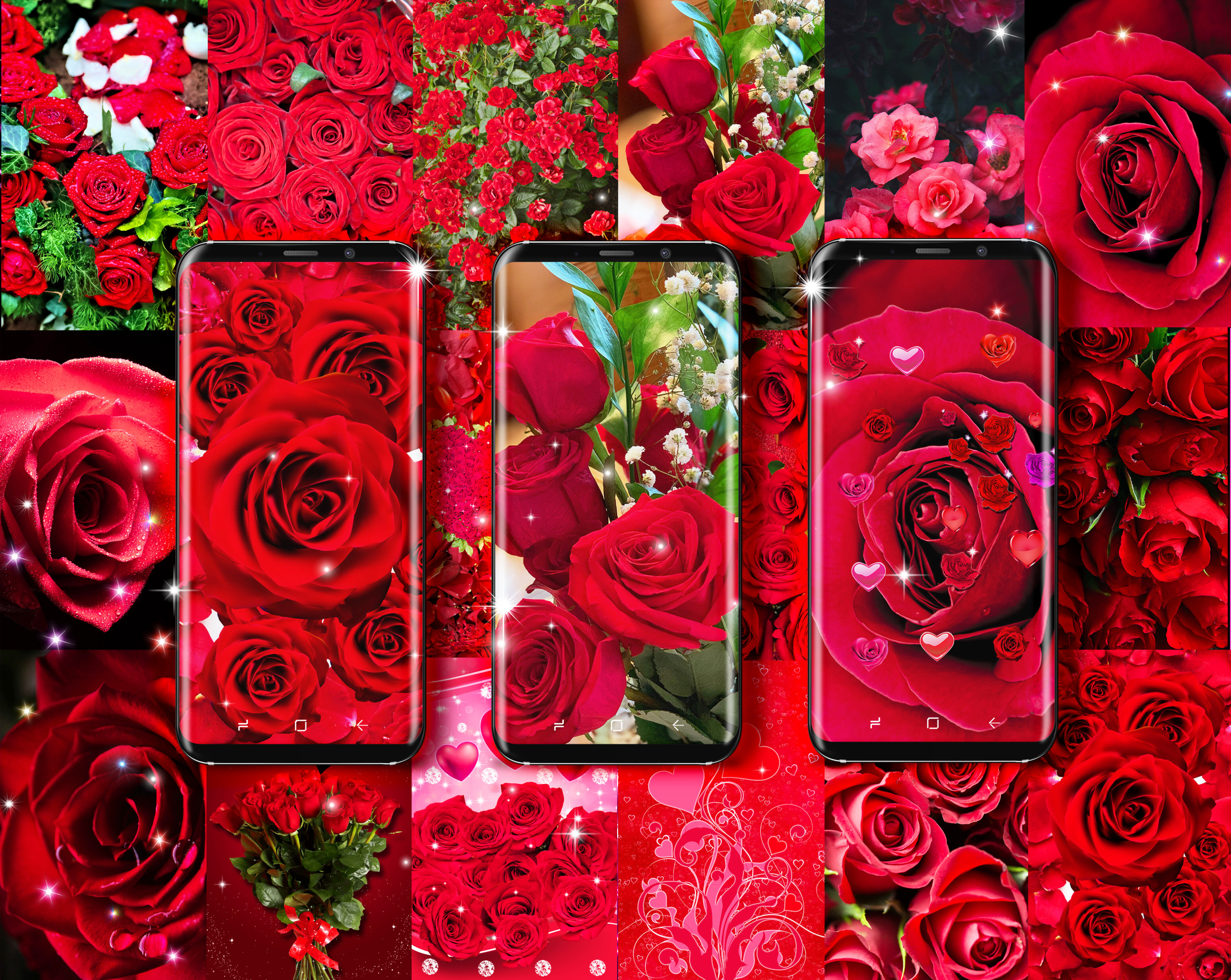 Red rose live wallpaper APK  for Android – Download Red rose live  wallpaper APK Latest Version from 