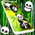 Cute Panda Live Wallpaper