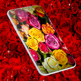 Red Rose Live Wallpaper biểu tượng
