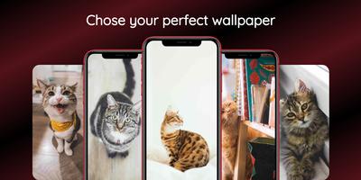 Cute Cat Wallpapers Ekran Görüntüsü 2