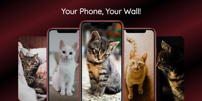 Cute Cat Wallpapers Ekran Görüntüsü 3