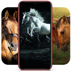 Horse Wallpapers アイコン
