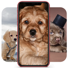 Puppy أيقونة