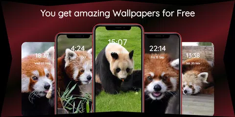 Panda Wallpapers | Cool Panda XAPK download