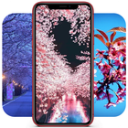 Sakura Wallpaper أيقونة
