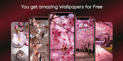 Sakura Wallpaper تصوير الشاشة 2