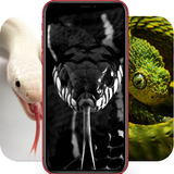 ikon Snake Images