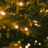 Christmas Background