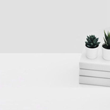 Minimalist Beauty Background