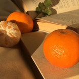 Soft Orange Aesthetic