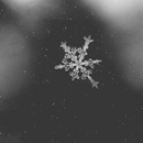 Winter Background APK