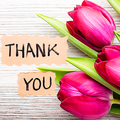 Thank You Sticker for WhatsApp