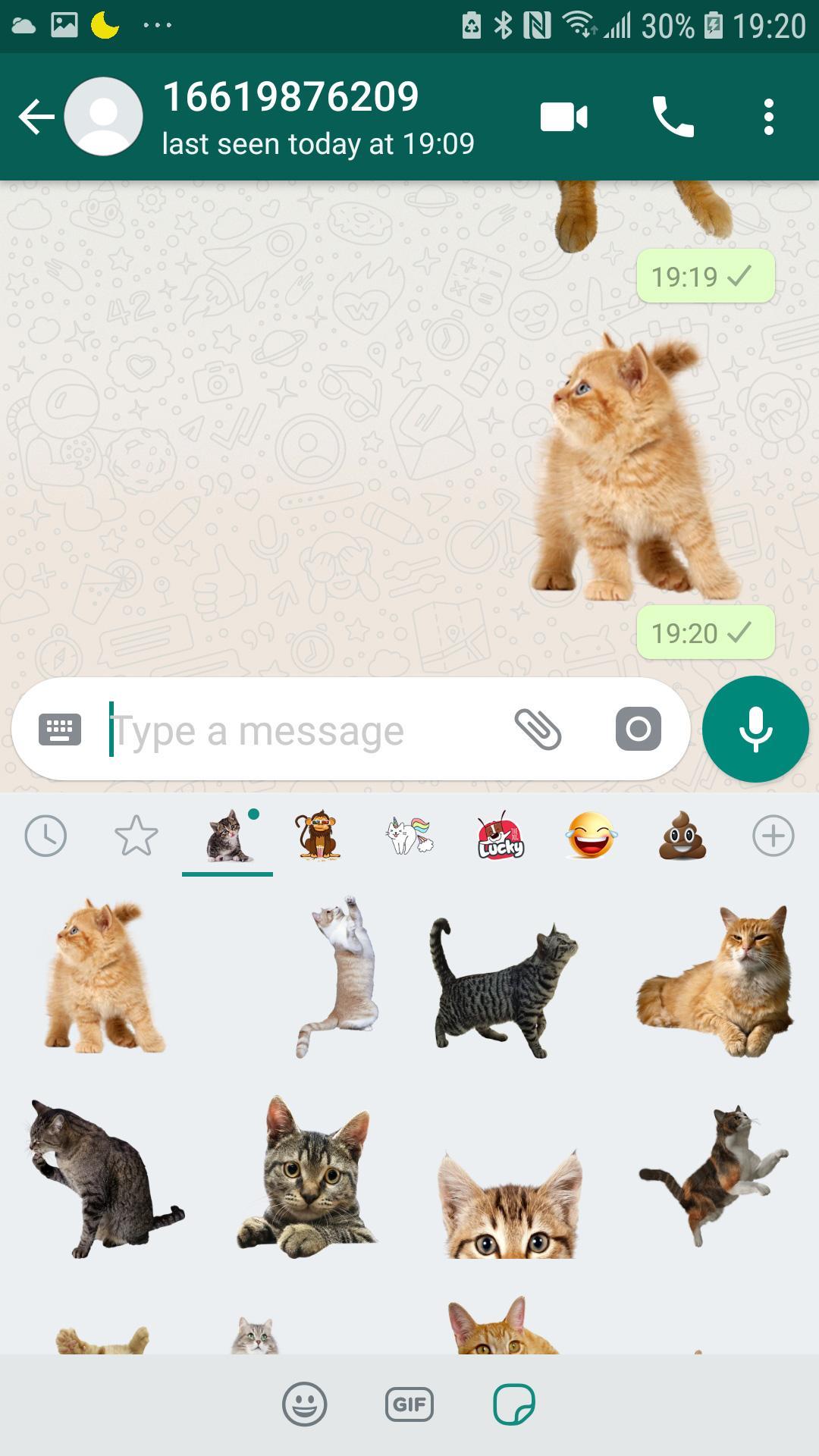 Cute Kitty Stickers For Whatsapp