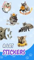 New Funny Cat Memes Stickers WAStickerApps screenshot 1