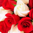 Rosas adesivos para WhatsApp ícone