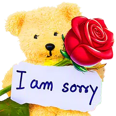 Sorry Stickers for WhatsApp