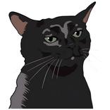 WAStickers Stickers de Gatos