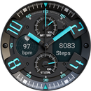 WB Military Analog Watch Face APK