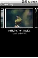 NZ Bird Gallery पोस्टर