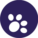Gran Leone - Connect Escolas APK