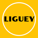 Liguey APK